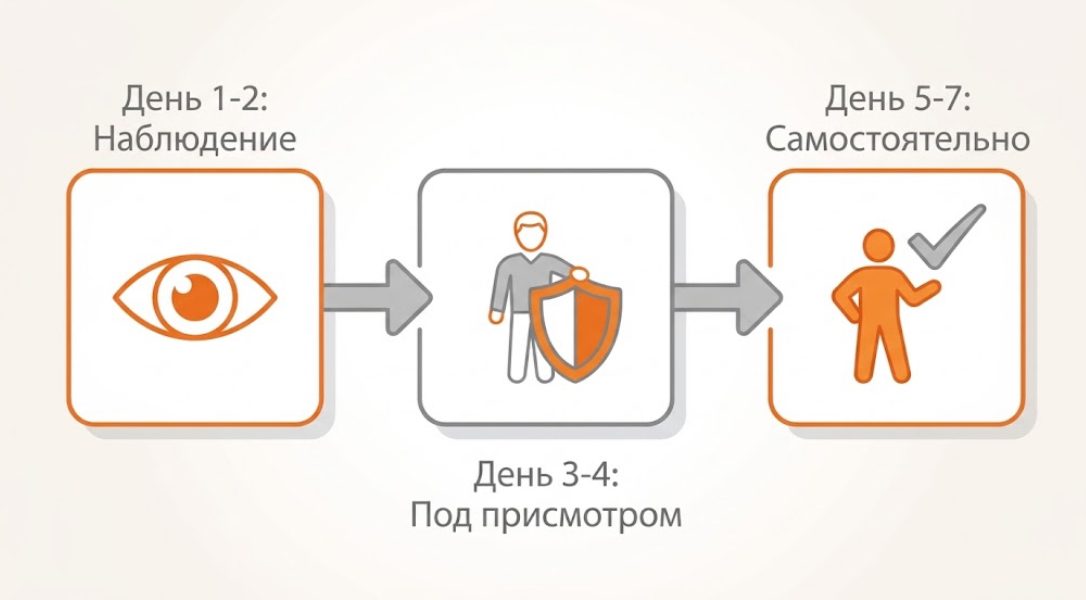 инфагр3
